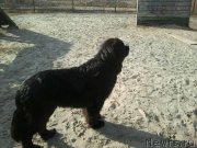 Превью фото № 125779