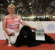 Превью фото № 125780