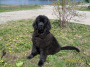 Превью фото № 125867