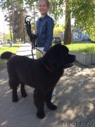 Превью фото № 125912