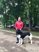 Превью фото № 125978