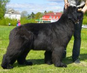 Превью фото № 126001