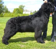 Превью фото № 126004