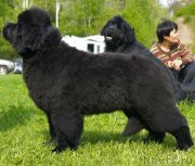 Превью фото № 126015