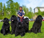 Превью фото № 126018