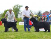 Превью фото № 126023
