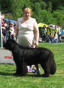 Превью фото № 126031