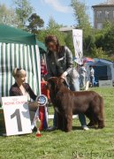 Превью фото № 126033