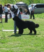 Превью фото № 126043