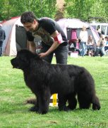 Превью фото № 126050