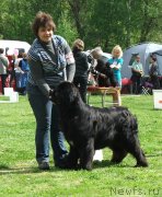 Превью фото № 126052