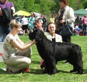 Превью фото № 126053