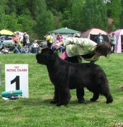 Превью фото № 126057