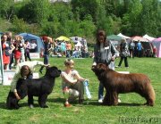 Превью фото № 126069