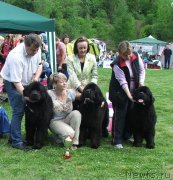 Превью фото № 126070