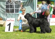 Превью фото № 126098