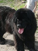 Превью фото № 126105