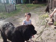 Превью фото № 126106