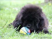 Превью фото № 126126