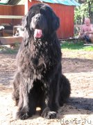 Превью фото № 126153