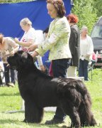 Превью фото № 126187