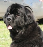 Превью фото № 126189