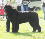 Превью фото № 126222