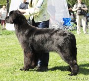 Превью фото № 126228