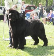 Превью фото № 126235