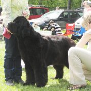 Превью фото № 126239