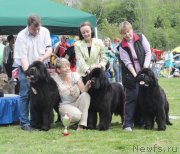 Превью фото № 126244