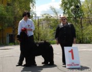 Превью фото № 126257