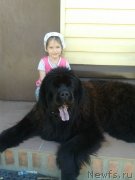 Превью фото № 126279