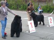 Превью фото № 126281