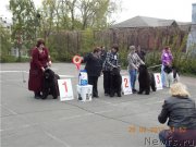 Превью фото № 126312