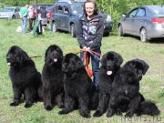 Превью фото № 126388