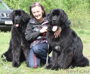 Превью фото № 126393