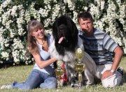 Превью фото № 126437