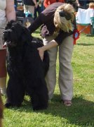 Превью фото № 126518