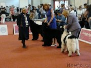 Превью фото № 126524