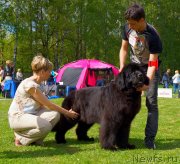 Превью фото № 126617