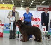 Превью фото № 126654