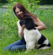 Превью фото № 126660