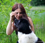 Превью фото № 126661