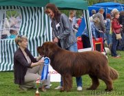 Превью фото № 126684