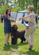 Превью фото № 126686