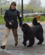 Превью фото № 126701