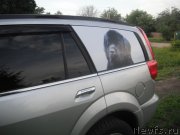 Превью фото № 126798