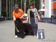 Превью фото № 126820