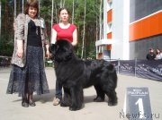 Превью фото № 126821